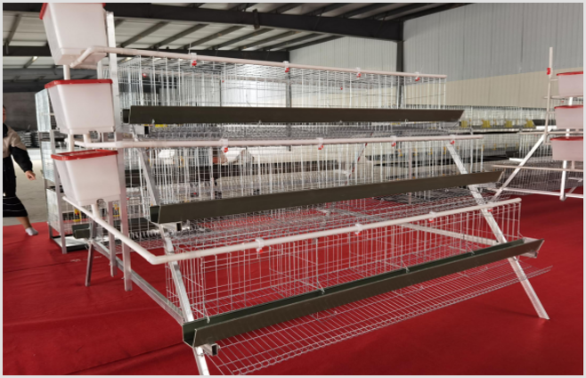 Bird cage accessories